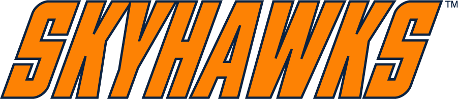Tennessee-Martin Skyhawks 2007-2020 Wordmark Logo diy iron on heat transfer